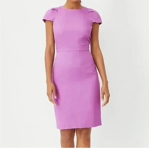Ann Taylor Purple Cap Sleeve Dress - Picture 1 of 3